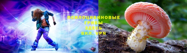 СК Медвежьегорск