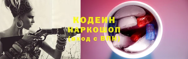 СК Медвежьегорск