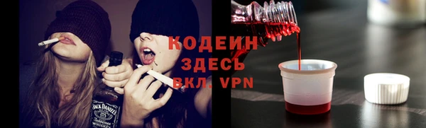СК Медвежьегорск