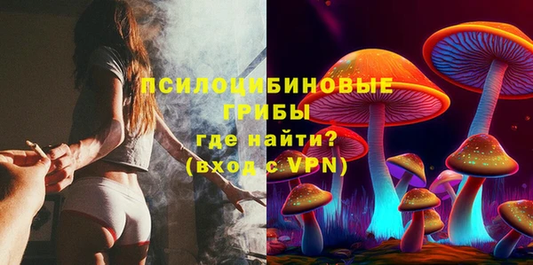 а пвп мука Мегион