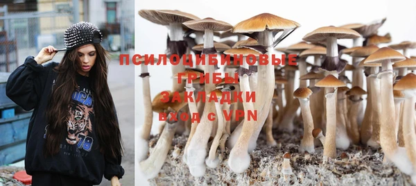 а пвп мука Мегион